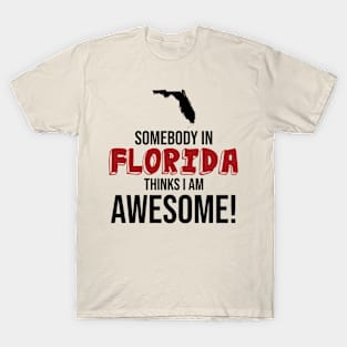 Somebody in Florida Thinks I Am Awesome T-Shirt